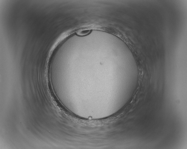 X0000078880006200611271339