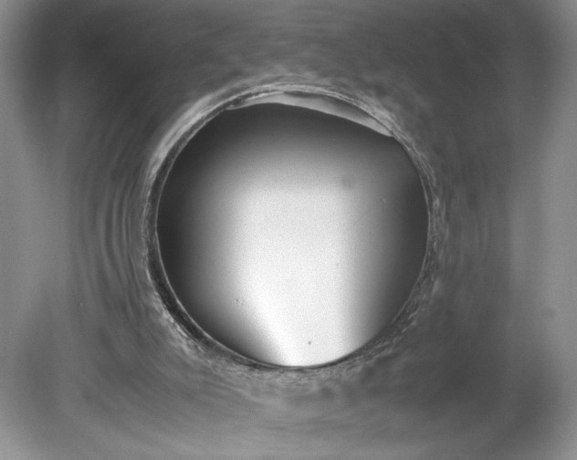 X0000078880007200611271339