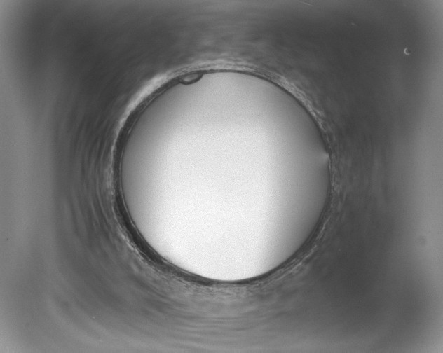 X0000078880008200611271339