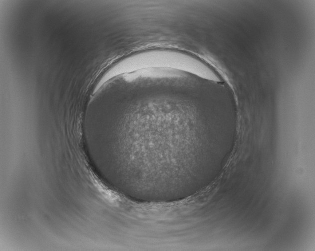 X0000078880009200611271339