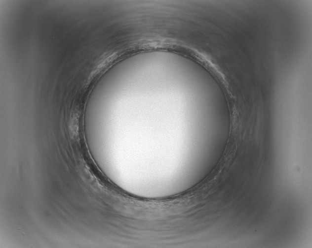 X0000078880010200611271339