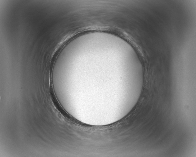 X0000078880011200611271339