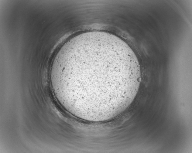 X0000078880012200611271339