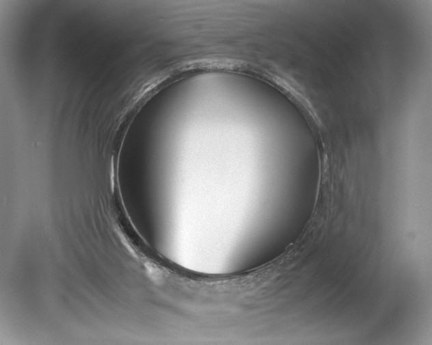 X0000078880013200611271339