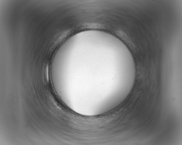 X0000078880014200611271339