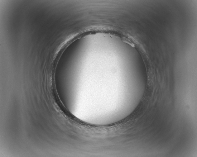 X0000078880015200611271339