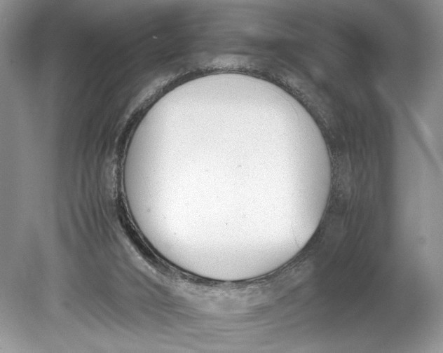 X0000078880016200611271338