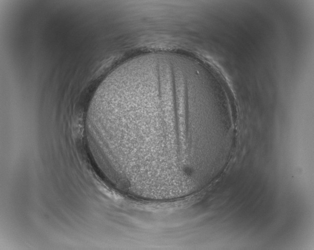 X0000078880017200611271338