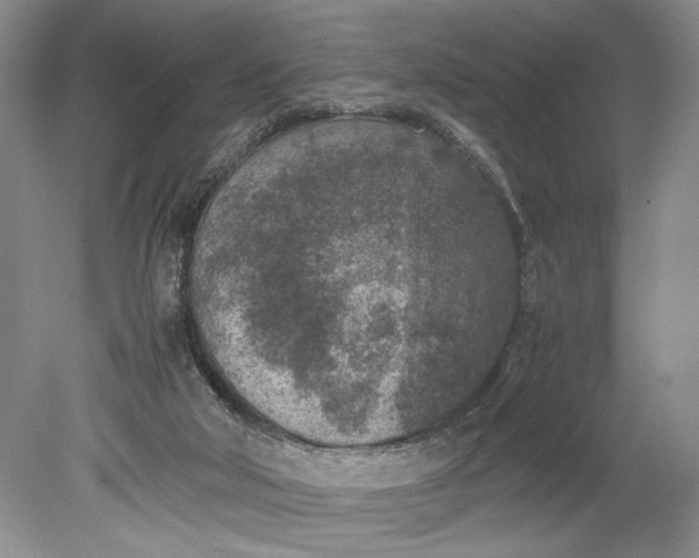 X0000078880018200611271338