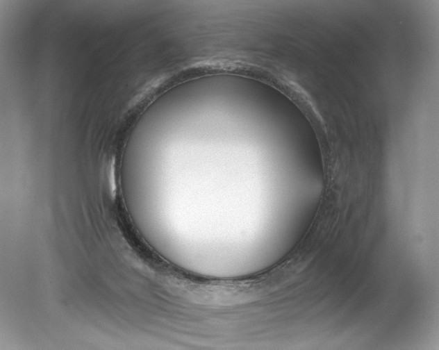 X0000078880020200611271338