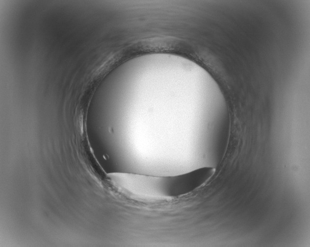 X0000078880021200611271338