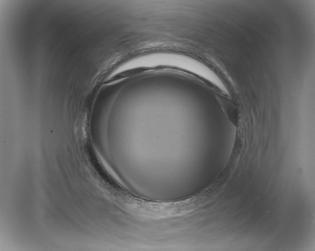 X0000078880023200611271338