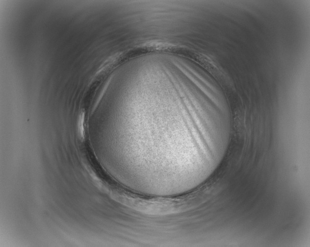 X0000078880024200611271338