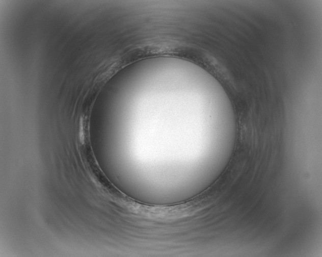 X0000078880026200611271338