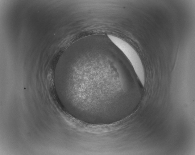 X0000078880029200611271338