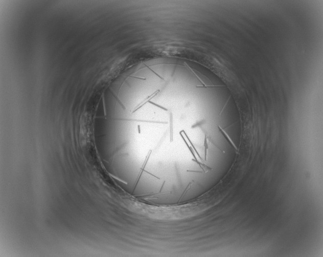 X0000078880030200611271338