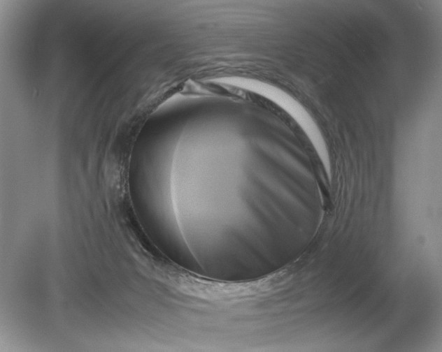 X0000078880031200611271338