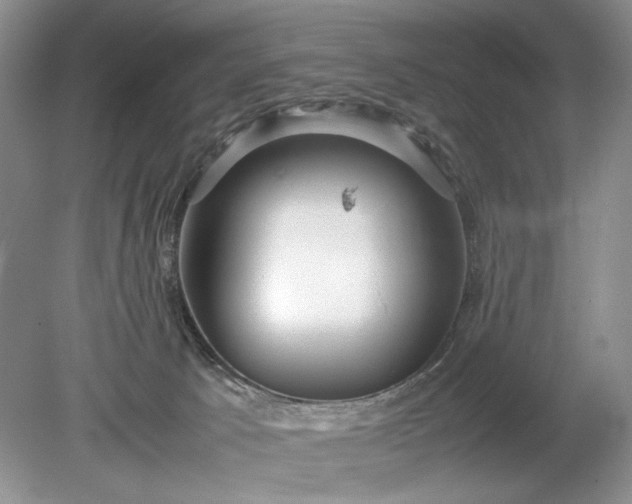 X0000078880033200611271338