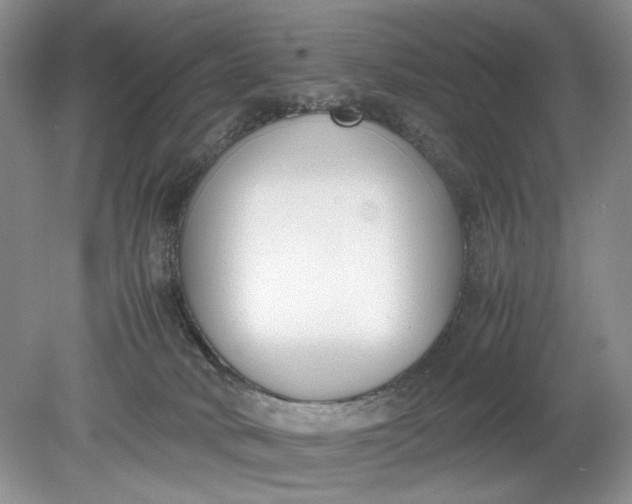 X0000078880034200611271338