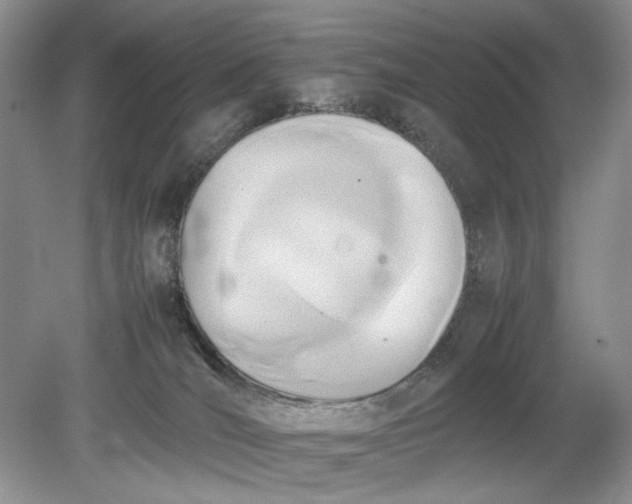 X0000078880036200611271338