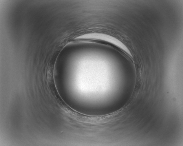 X0000078880037200611271338