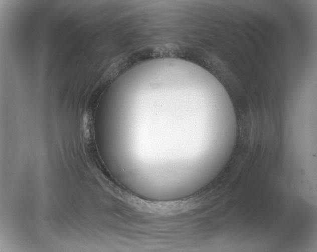 X0000078880038200611271338