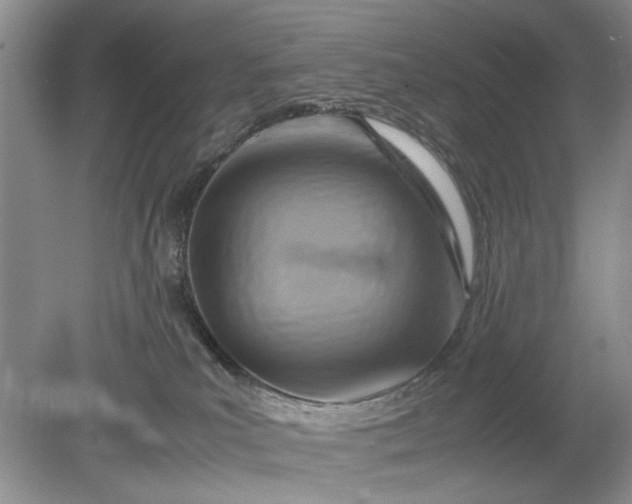 X0000078880039200611271338