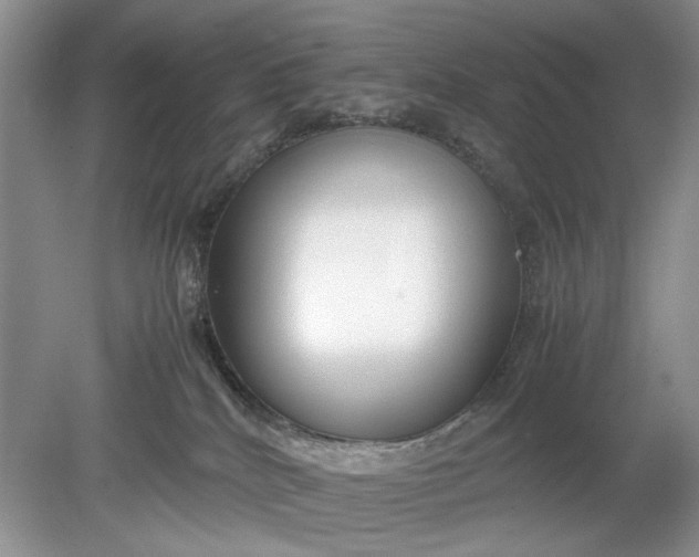 X0000078880040200611271338