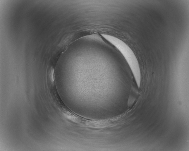 X0000078880041200611271338