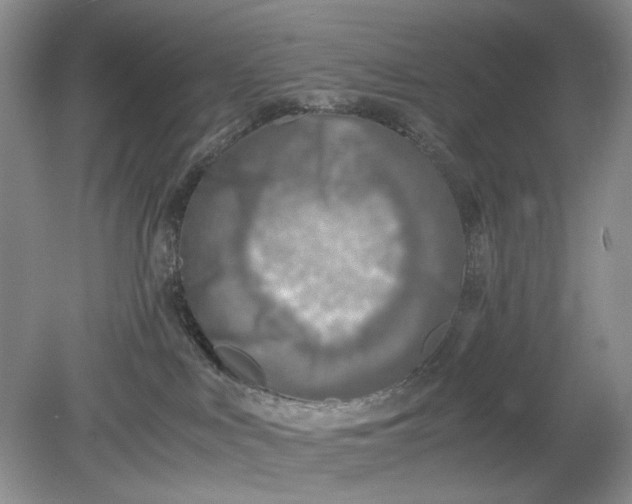 X0000078880043200611271338