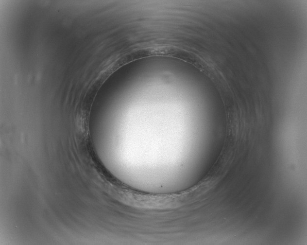 X0000078880044200611271338