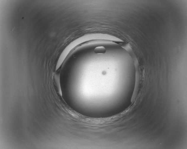 X0000078880045200611271338