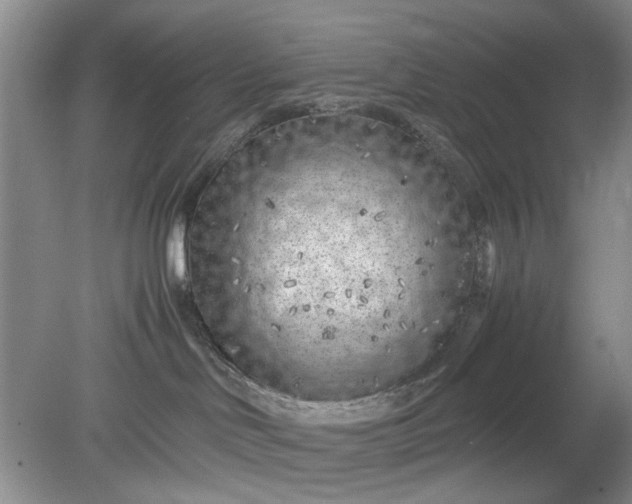 X0000078880046200611271338