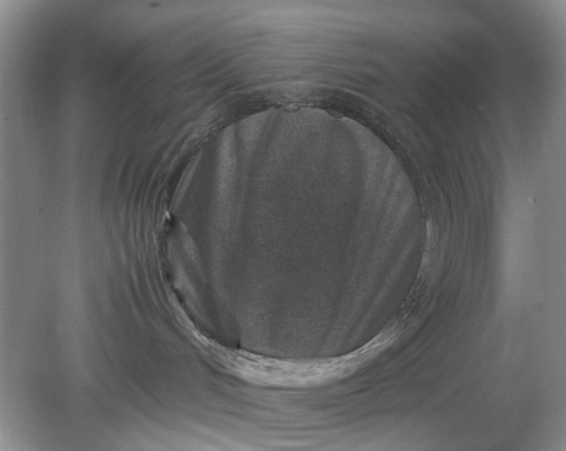 X0000078880048200611271338