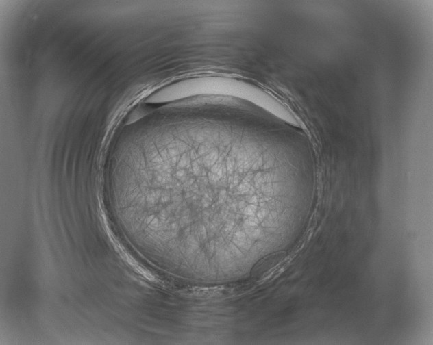 X0000078880049200611271337