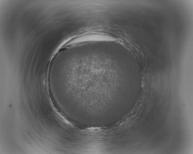 X0000078880052200611271337