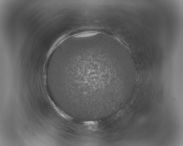 X0000078880053200611271337