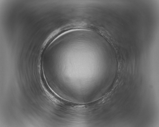 X0000078880054200611271337