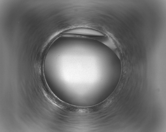 X0000078880060200611271337