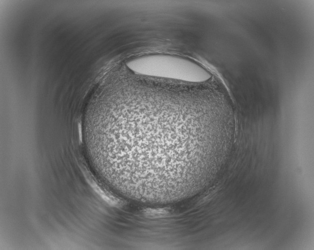 X0000078880061200611271337