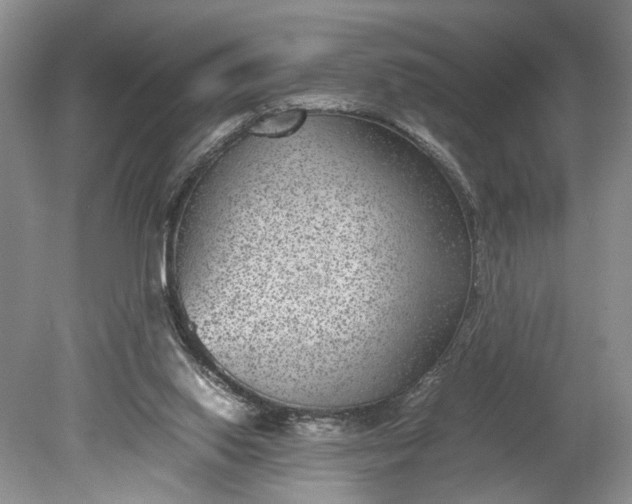 X0000078880062200611271337