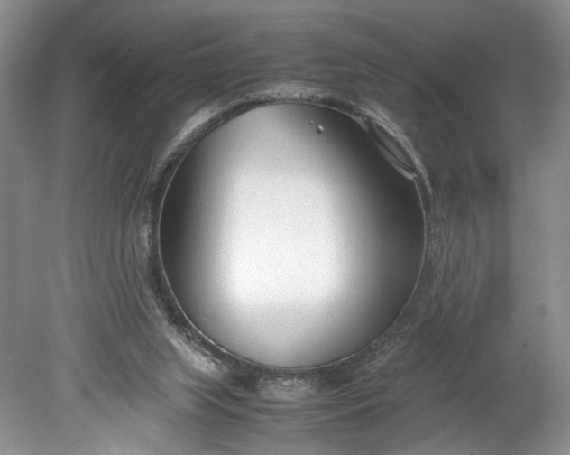 X0000078880063200611271337