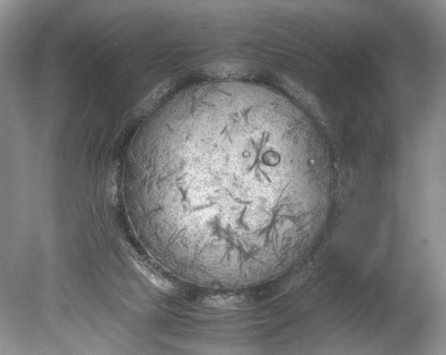 X0000078880065200611271337