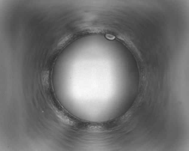 X0000078880066200611271337