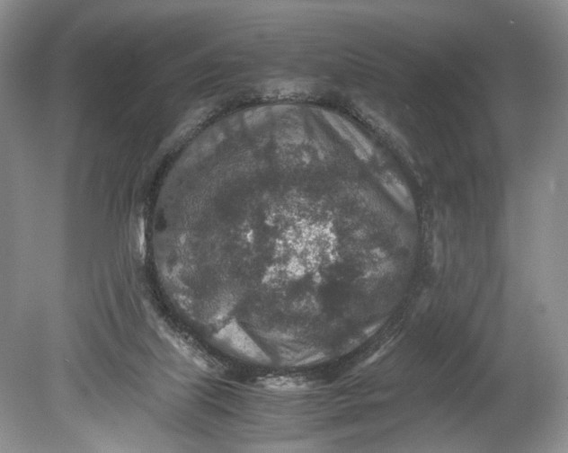 X0000078880067200611271337