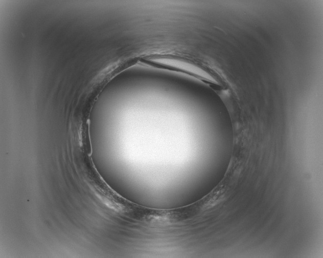 X0000078880068200611271337