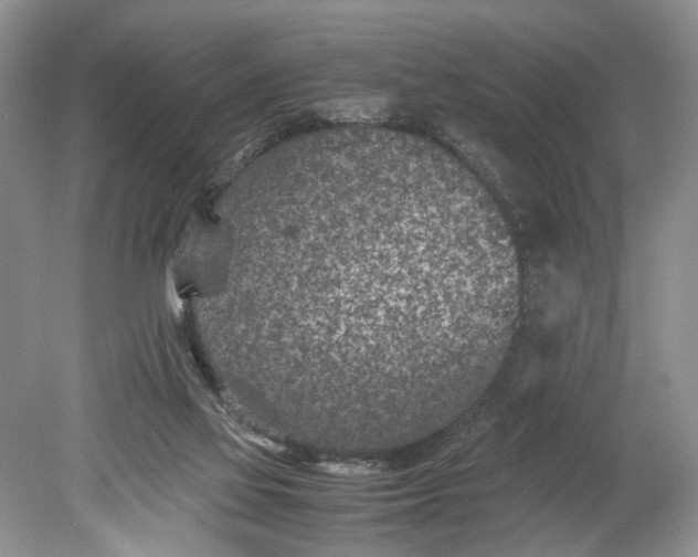 X0000078880069200611271337