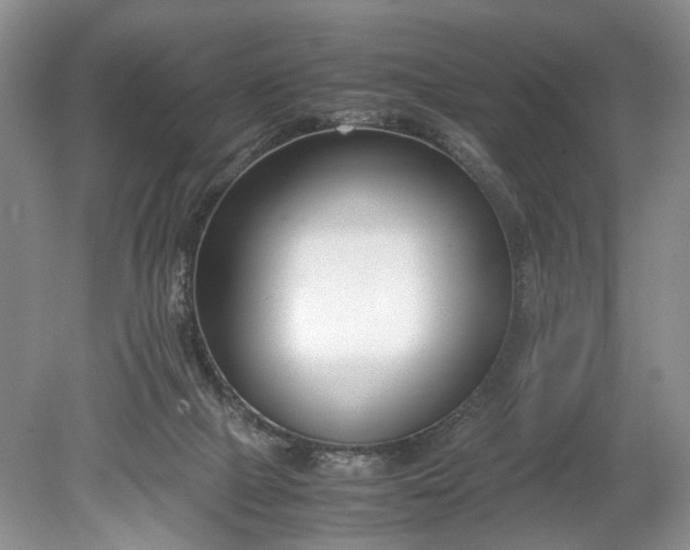 X0000078880073200611271338