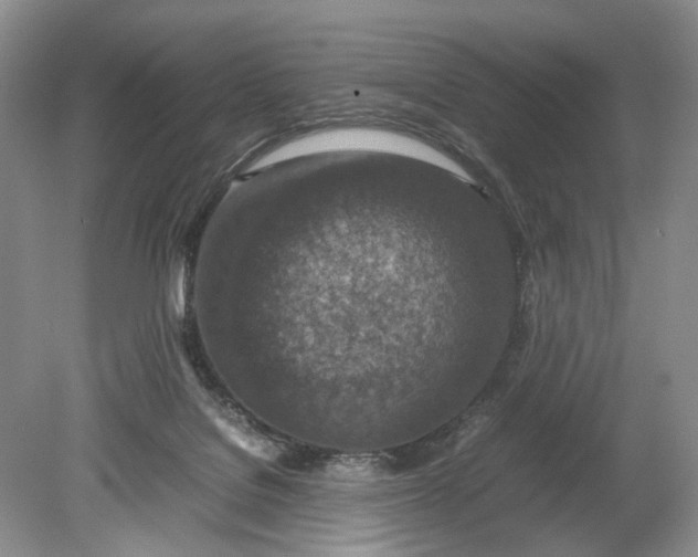 X0000078880076200611271338