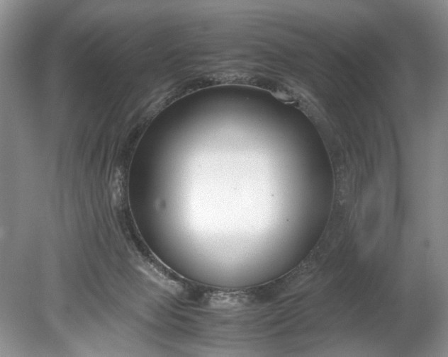 X0000078880077200611271338